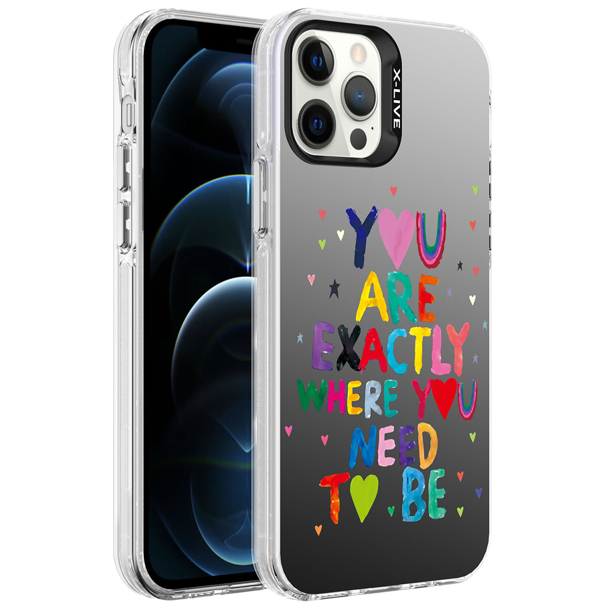 iPhone Uyumlu 12 Pro Max Kılıf Desenli Zore Silver Sert Kapak-You
