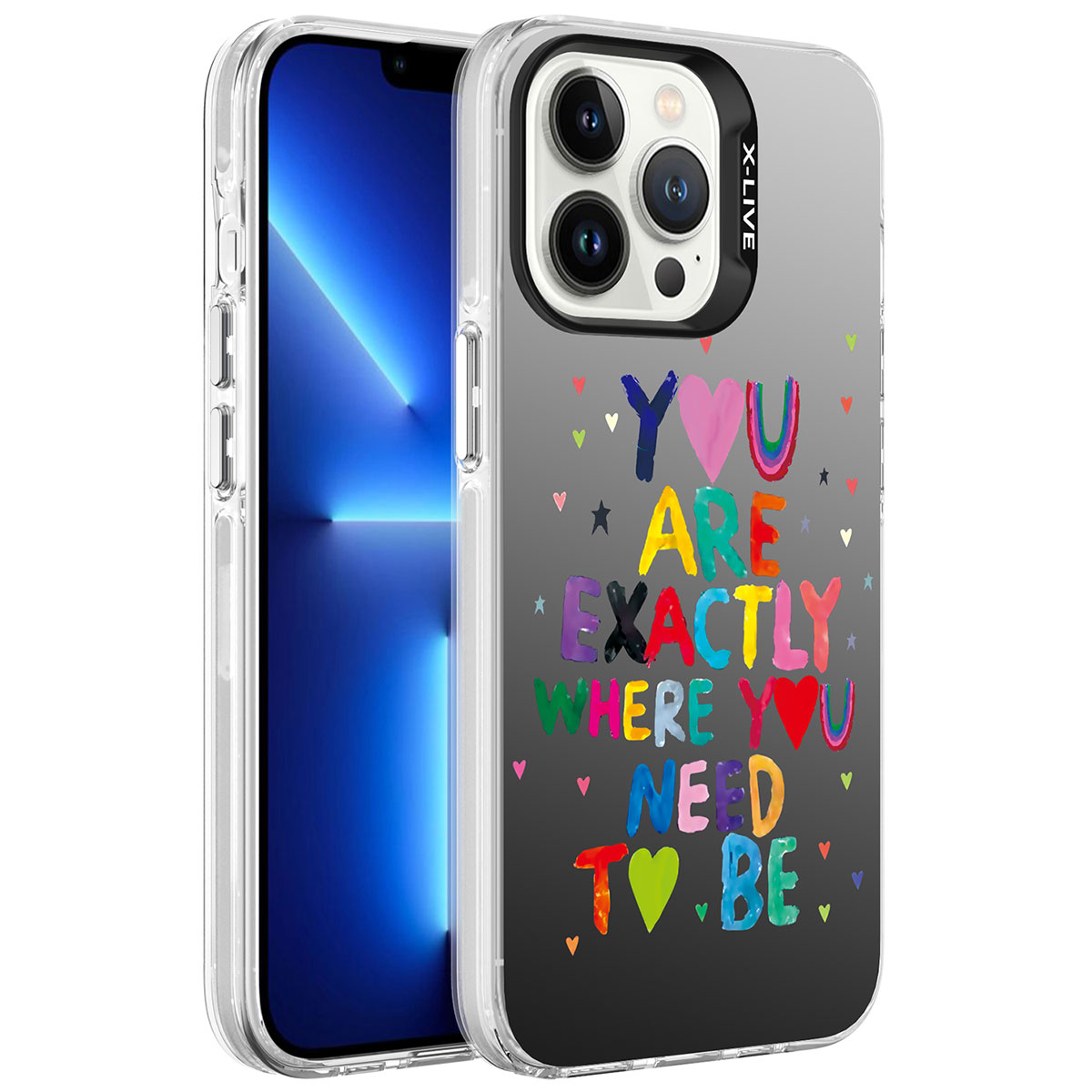 iPhone Uyumlu 13 Pro Max Kılıf Desenli Zore Silver Sert Kapak-You