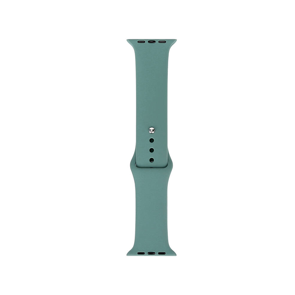 Watch 44mm Band Serisi Klasik Kordon Silikon Strap Kayış-Cactus